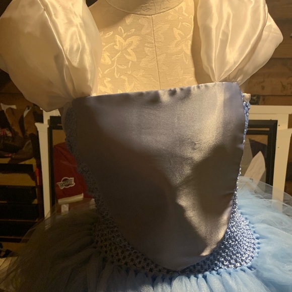 Amazing Handmade Cinderella Costume - Picture 2 of 4